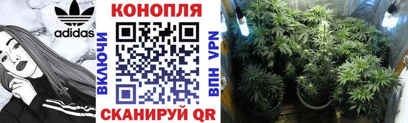 Наркошоп купить Бошки Шишки  Галлюциногенные грибы  Cocaine  Гашиш  Мефедрон  A-PVP  Санкт-Петербург