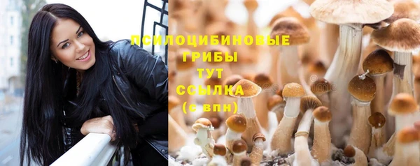 каннабис Арсеньев