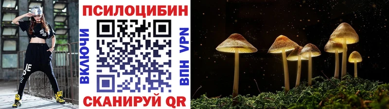 Галлюциногенные грибы Cubensis  Купить где  Санкт-Петербург 